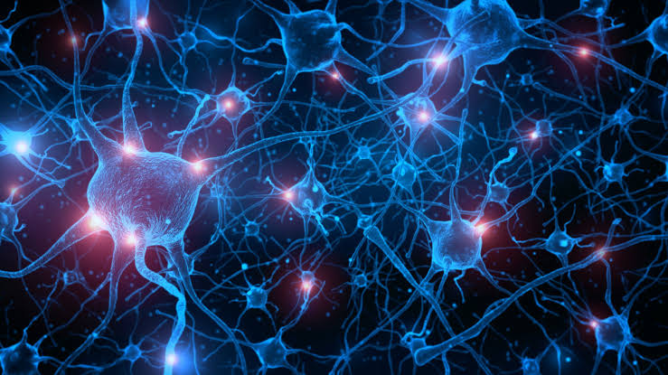 Conexões neurais e impulsos elétricos semelhantes a energia espiritual e mística